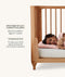 ergoPouch Toddler Pillow features and benefits