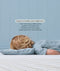Toddler lying flat on a 1-inch low-profile toddler pillow, with text explaining healthy spine alignment benefits.