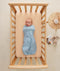 ergoPouch Cocoon Swaddle Bag 1.0 TOG Dragonflies