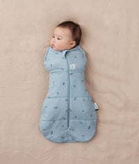 Warm ergoPouch Cocoon Swaddle Bag 3.5 TOG Dragonflies for winter