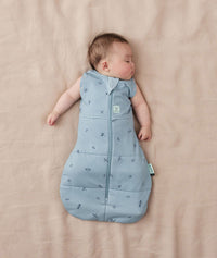 Newborn wearing an ergoPouch Cocoon Swaddle Bag 2.5 TOG Dragonflies with arms out