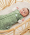 Newborn wearing an ergoPouch Cocoon Swaddle Bag 2.5 TOG Willow with arms out