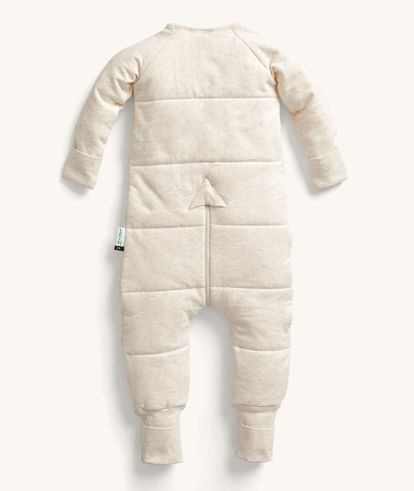 ergoPouch Sleep Onesie 2.5 TOG Hedgehog, a warm, pouch