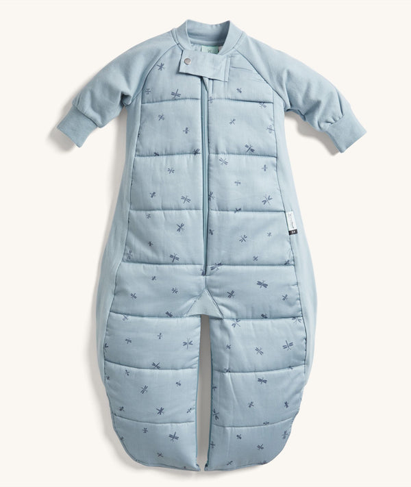 ergoPouch Sleep Suit Bag 2.5 TOG Dragonflies, a warm pouch