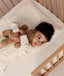 Toddler lying in a wooden cot on a cream patterned Organic Toddler Pillow while hugging a stuffed teddy bear.