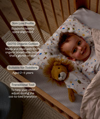 Features of ergoPouch Organic Toddler Pillow and Case Daydream