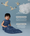 Infant wearing a ergoPouch Sleeping Bag 1.0 TOG Starbeam with text about its features on a blue background with swans and clouds.