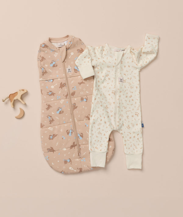 Cocoon Swaddle Bag 2.5 TOG and Long Sleeve Layer 1.0 TOG winter bundle