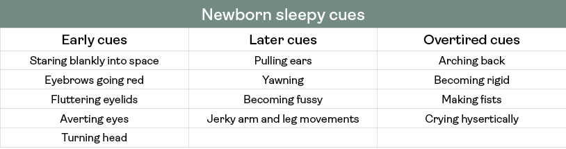 Newborn sleep cues - what to look for to know when your baby is ready for sleep