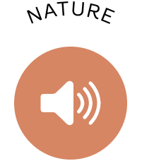 Nature audio sound track 