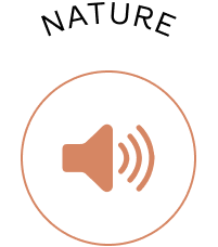 Nature audio sound track 